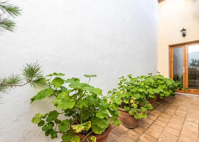 Casa vacanze Bewitched Granny's House Pollença